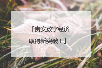 贵安数字经济取得新突破！